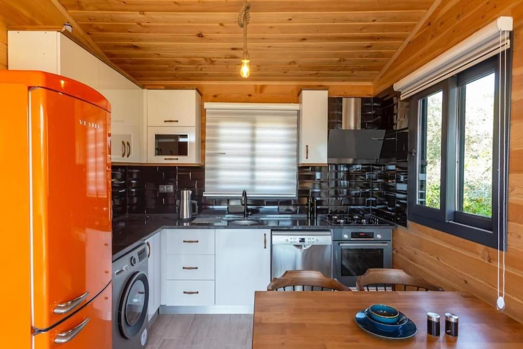 Villa Zeytin Havuzlu Jakuzili Fethiye Zewnętrze zdjęcie
